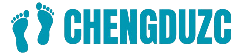 chengduzc.com